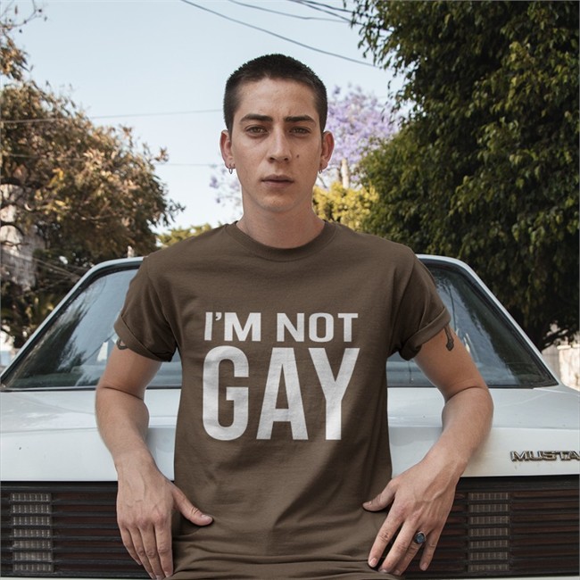 Austin Show I'm Not Gay Hoodies