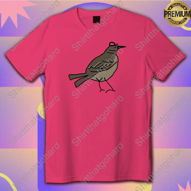 Dallas Stars Mr Mockingbird Has His Victory Green Tee