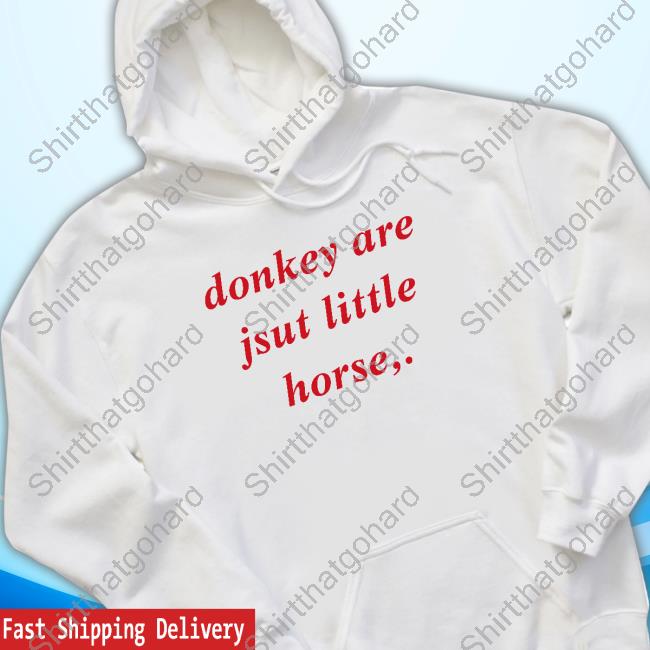 Donkey Are Jsut Little Horse Sweatshirt